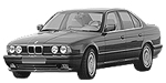 BMW E34 C1966 Fault Code